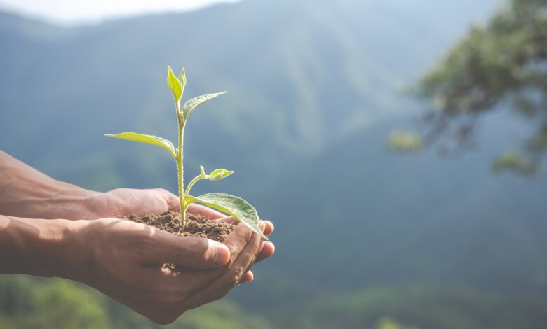 promouvoir l'écologie