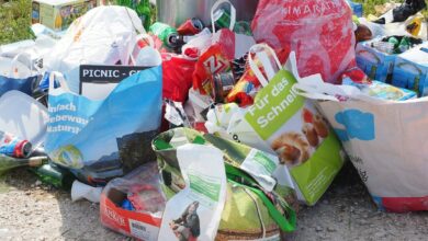 Photo de Réduire ses déchets alimentaires