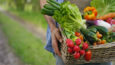 Photo de La sécurité sociale de l’alimentation