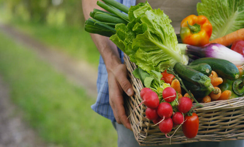 sécurité sociale de l'alimentation