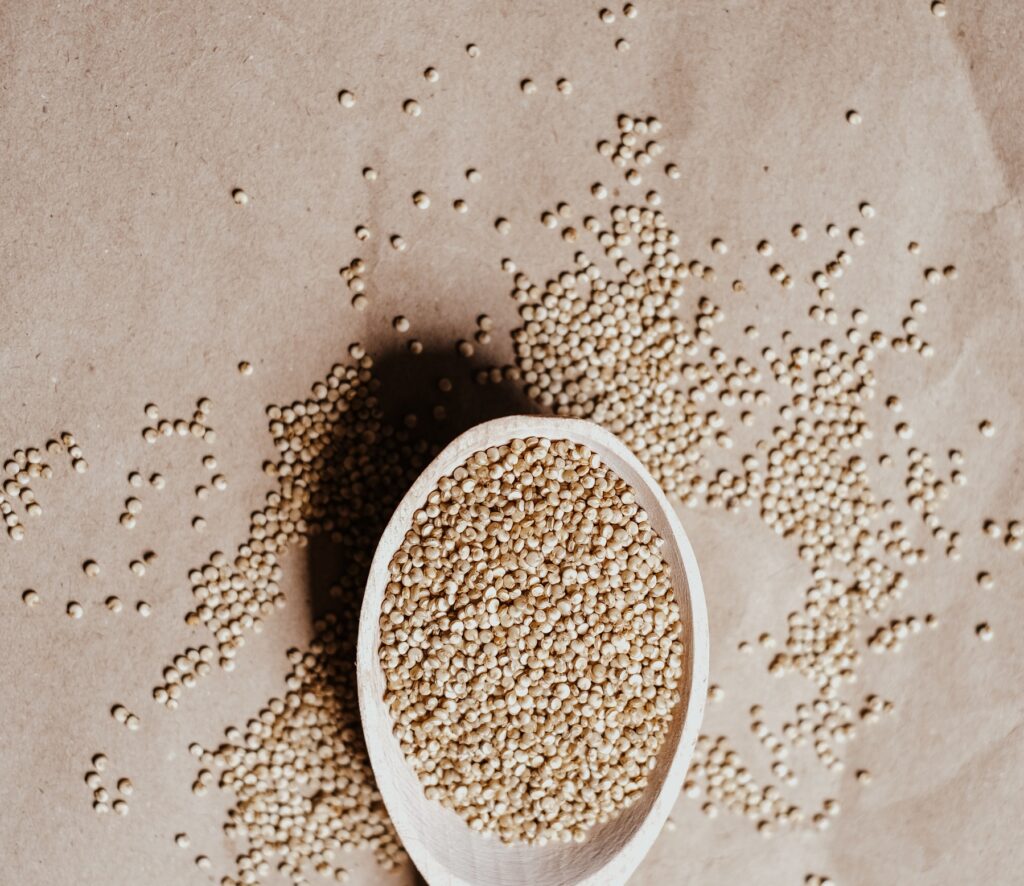 quinoa teneur en proteines elevee